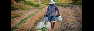 Sustainable agriculture can mitigate climate change and involuntary migration: FAO